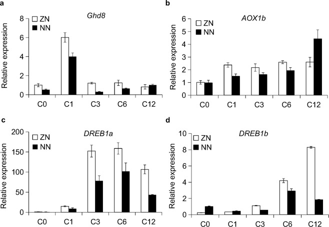 Figure 7