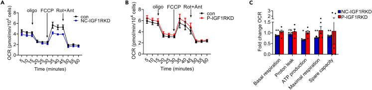 Figure 7