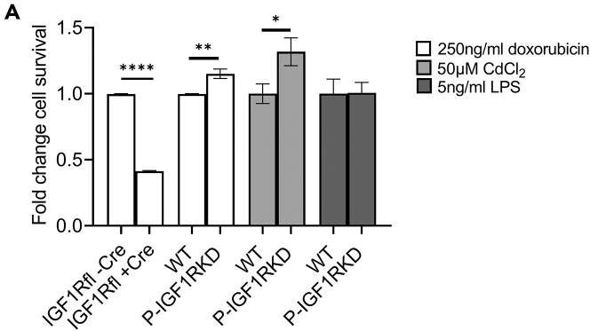 Figure 4