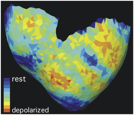 FIGURE 3