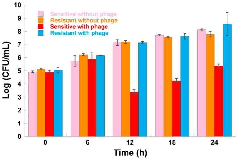 Figure 7