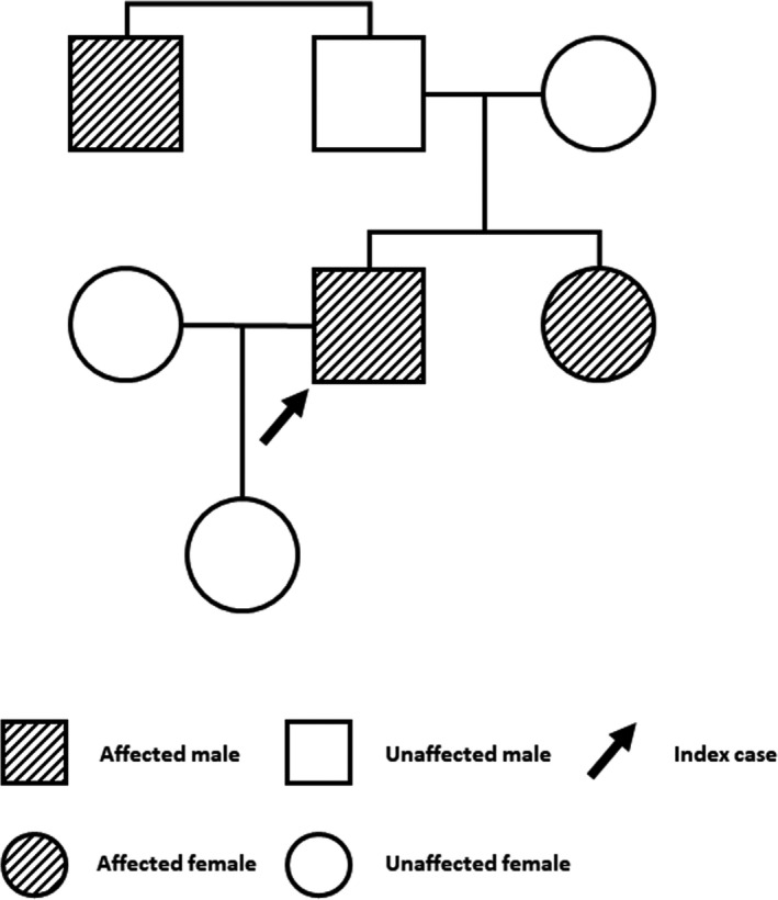 FIGURE 1