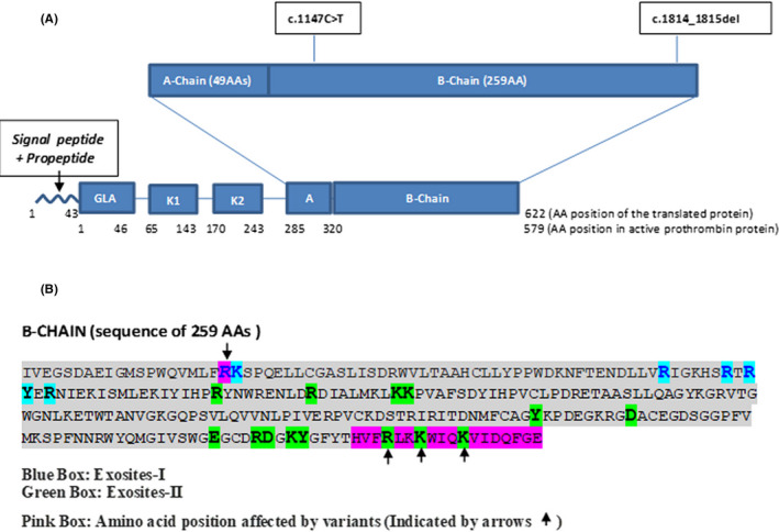 FIGURE 2