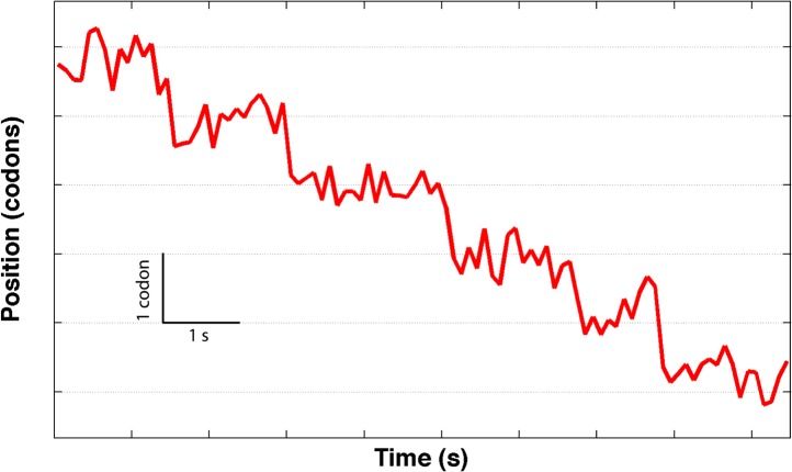 Figure 1—figure supplement 1.