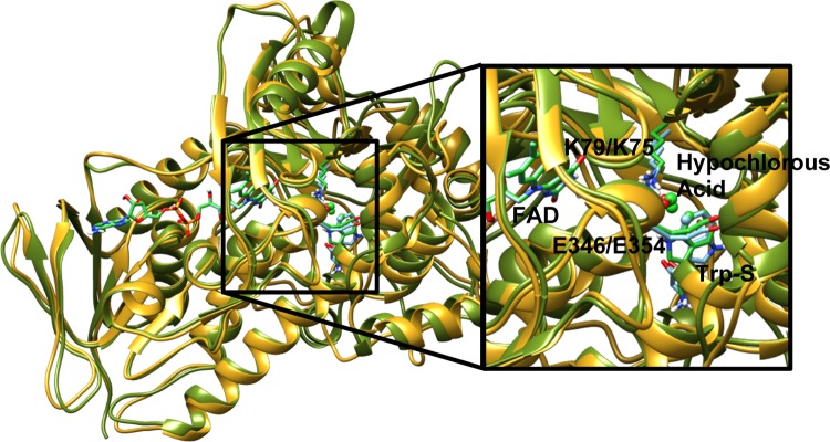 Figure 13