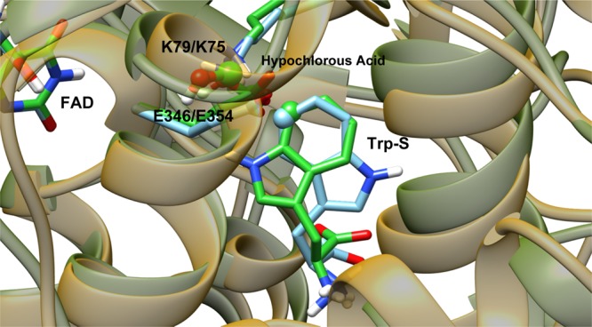 Figure 14