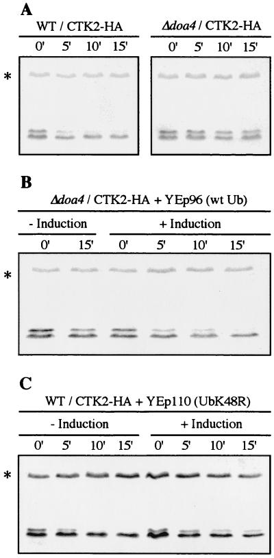 FIG. 5