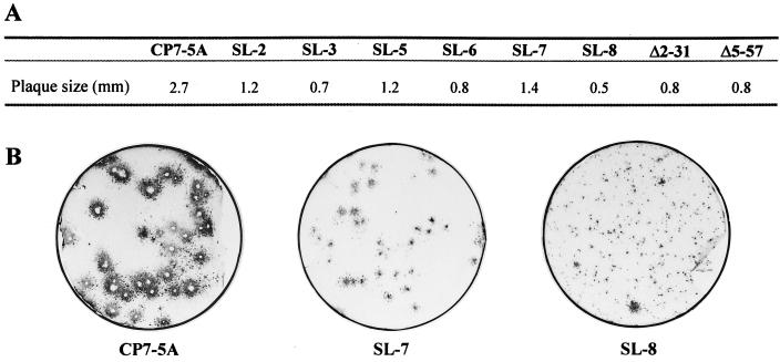 FIG. 7