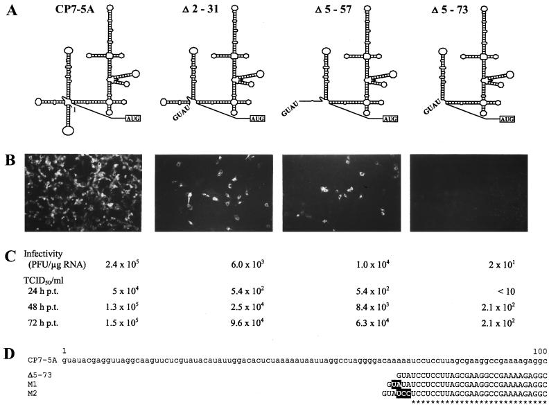 FIG. 6