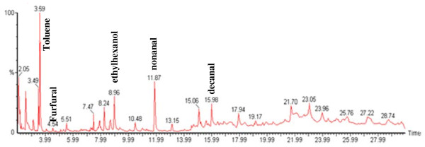 Figure 17 