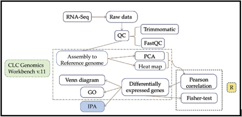 Figure 2