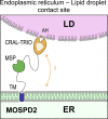 Figure 10.