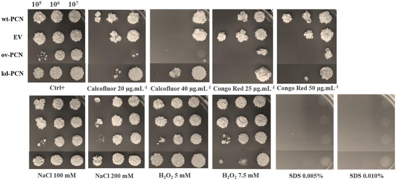 Figure 2.