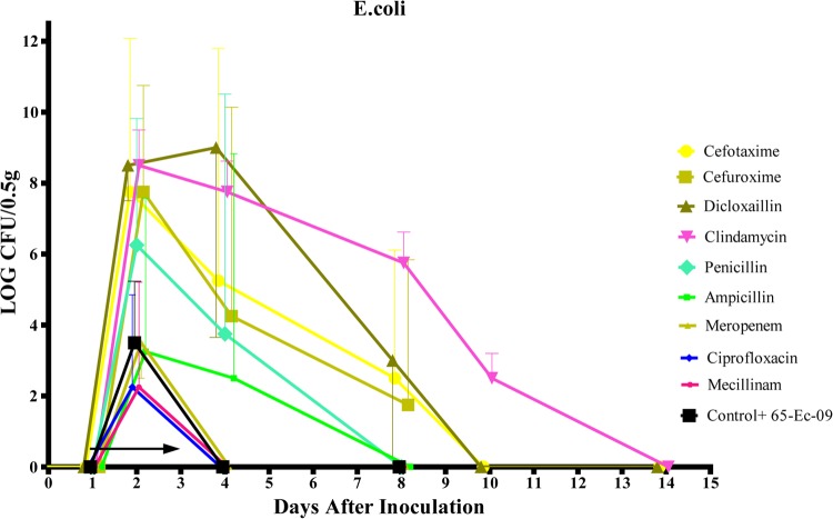 FIG 1