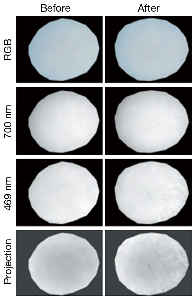 Figure 11