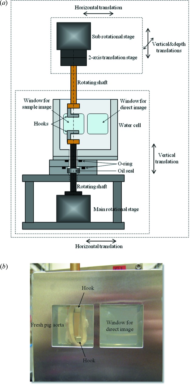 Figure 5