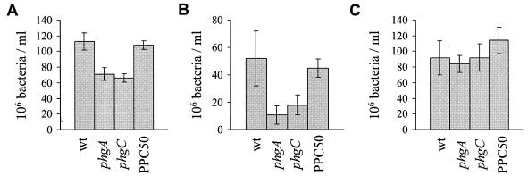 FIG. 7.