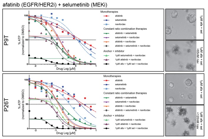 Figure 9—figure supplement 1.