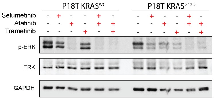 Figure 3—figure supplement 3.