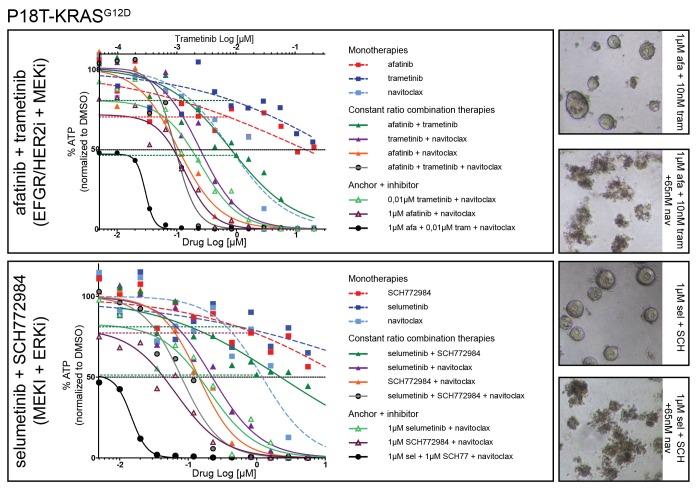 Figure 9—figure supplement 2.