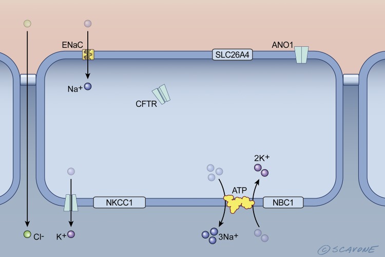 Fig. 3.