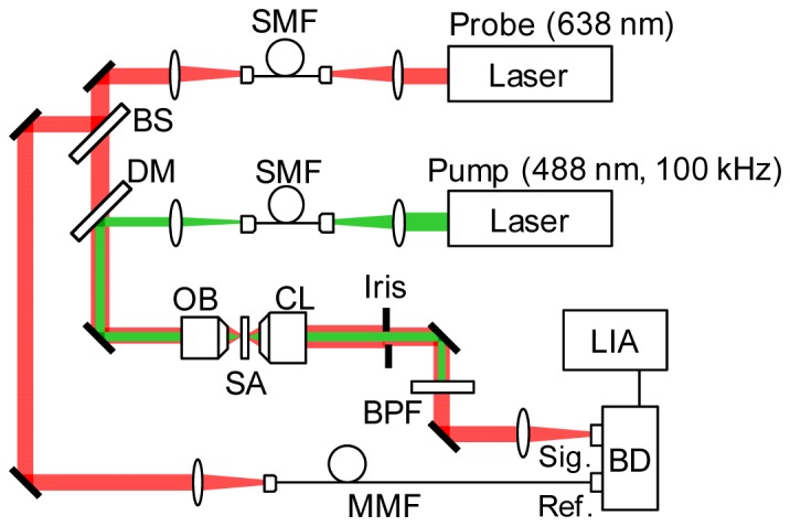 Fig. 1