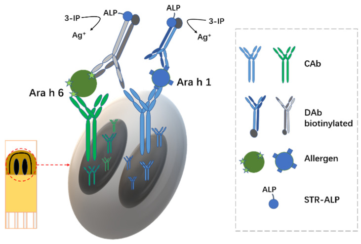 Figure 12