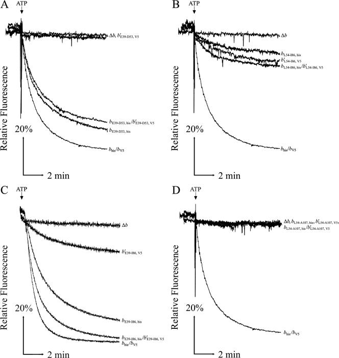 FIG. 3.