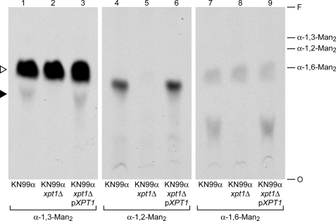 FIGURE 10.