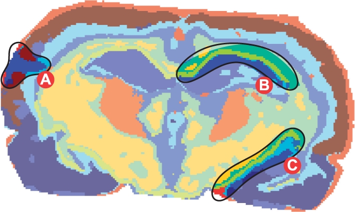 Fig. 6.