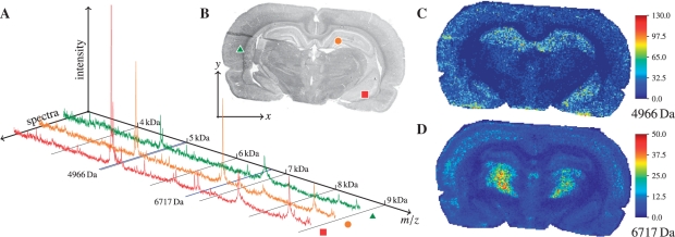 Fig. 1.