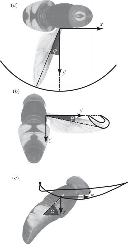 Figure 5.