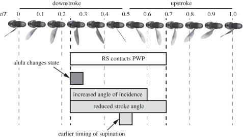 Figure 14.