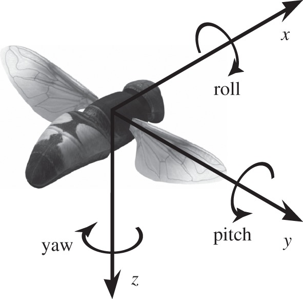 Figure 4.