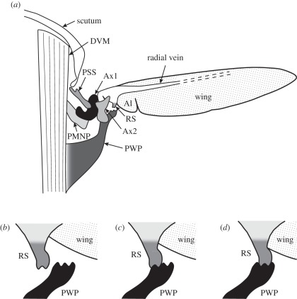 Figure 1.