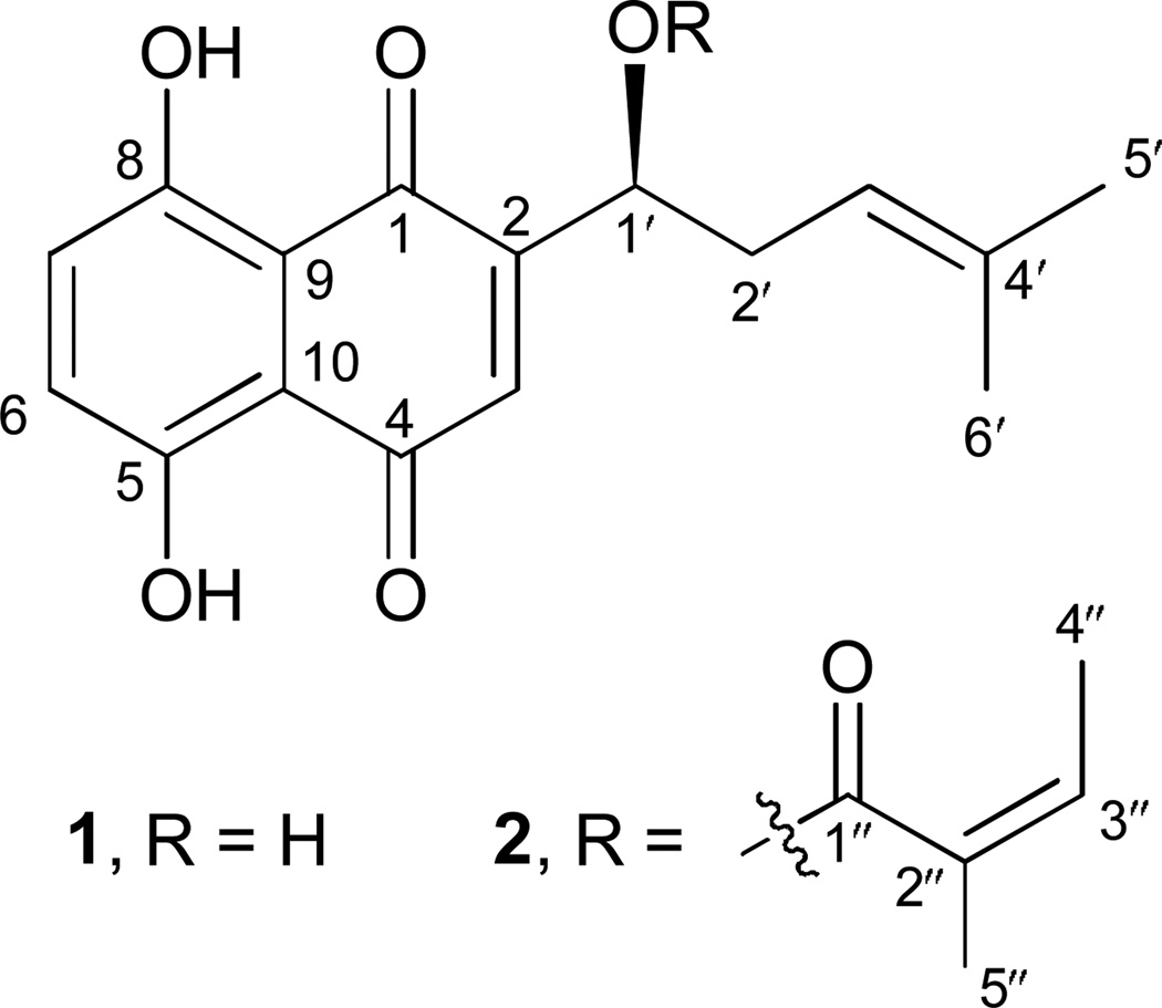 Figure 1