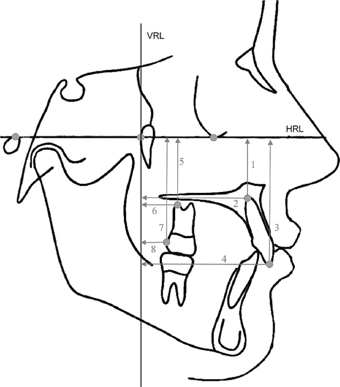 Figure 3. Linear measurements: 1, vertical distance of maxillary central incisor root apex to horizontal reference line (HRL); 2, horizontal distance of maxillary central incisor root apex to vertical reference line (VRL); 3, vertical distance of maxillary central incisor crown to HRL; 4, horizontal distance of maxillary central incisor crown to VRL; 5, vertical distance of maxillary first molar root apex to HRL; 6, horizontal distance of maxillary first molar root apex to VRL; 7, vertical distance of maxillary first molar crown to HRL; 8, horizontal distance of maxillary first molar crown to VRL.