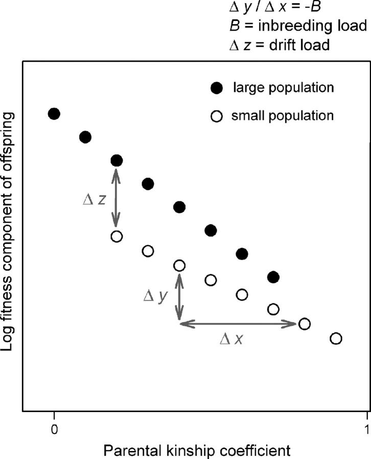 Figure 1.—