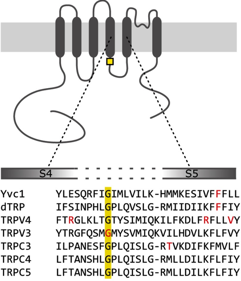 FIGURE 1.