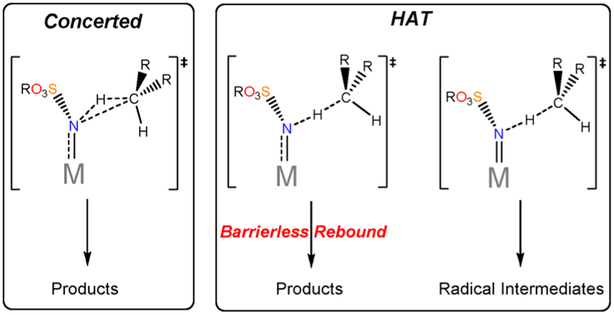 Scheme 6.