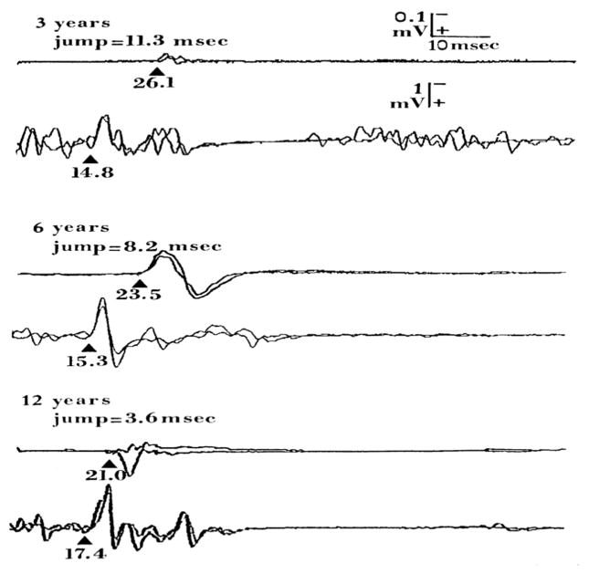 Fig. 8