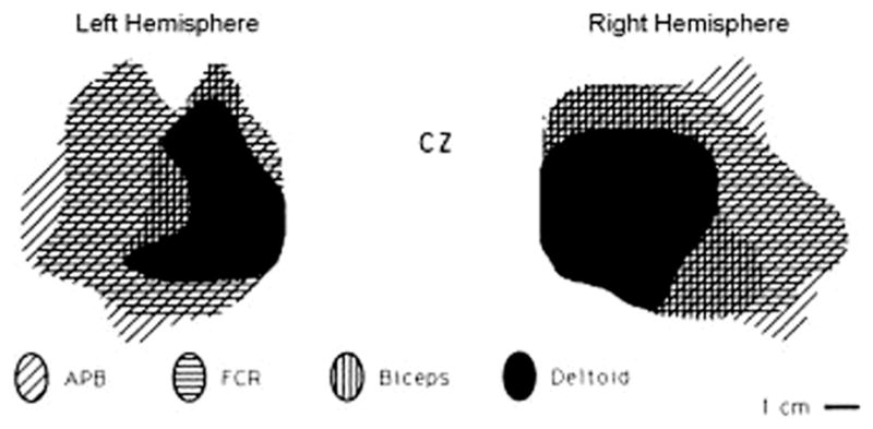 Fig. 10