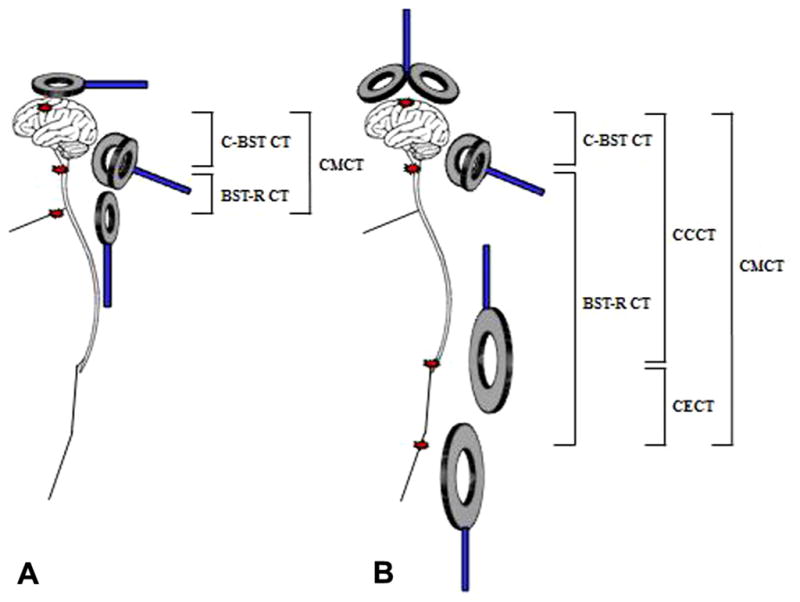 Fig. 9