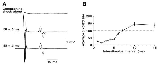 Fig. 12