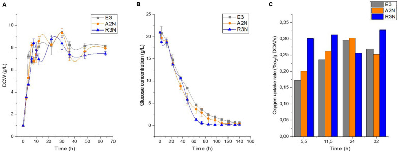 FIGURE 3