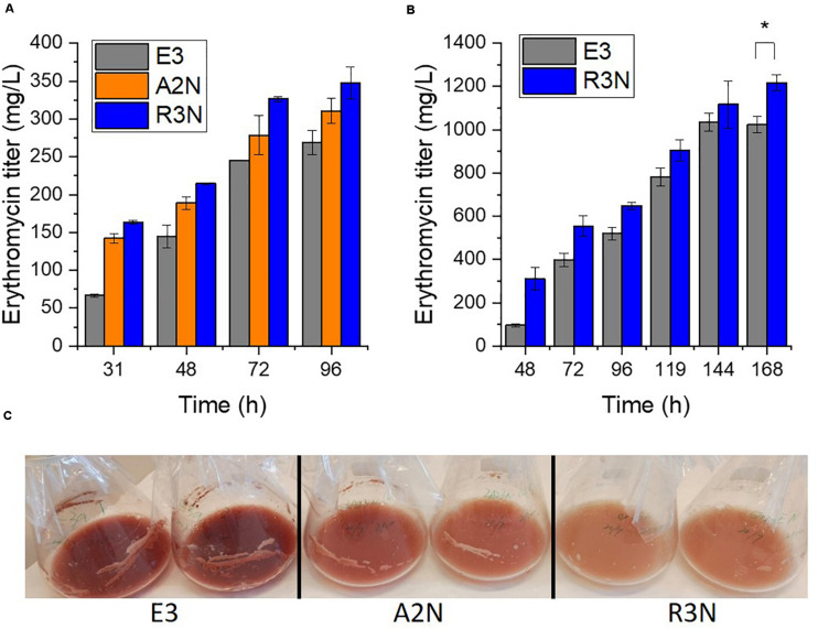 FIGURE 4