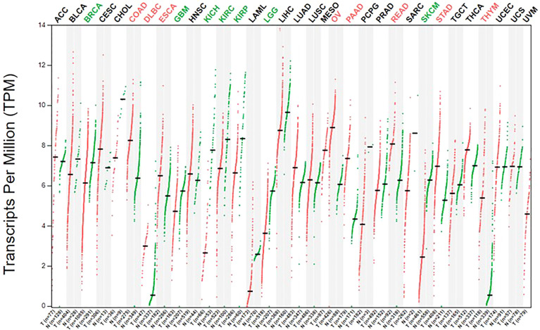 Figure 2