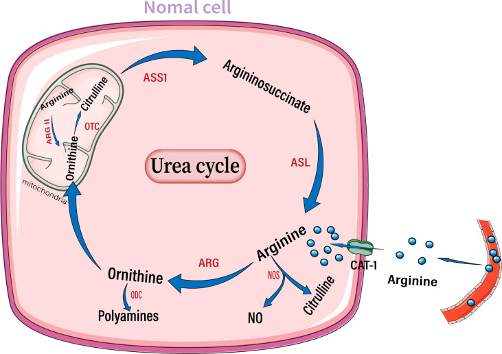 Figure 1