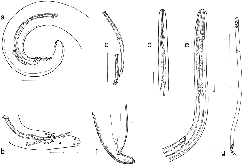 Fig. 3