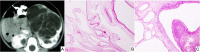 Fig. 10